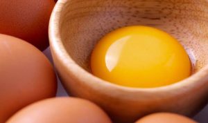 kuning-telur-678x375-1