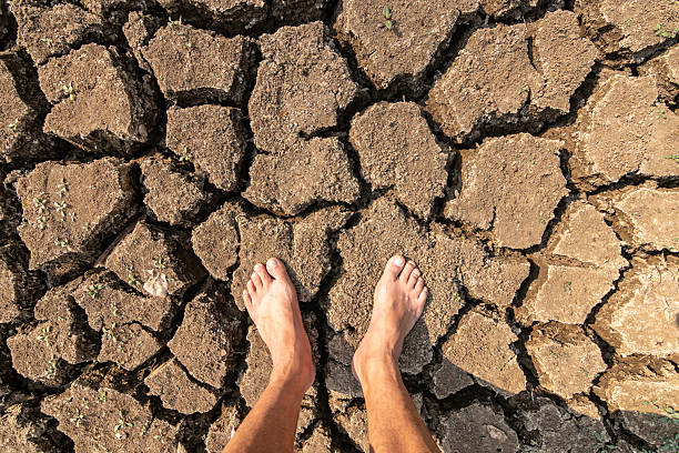 istockphoto-2233815021-612x612